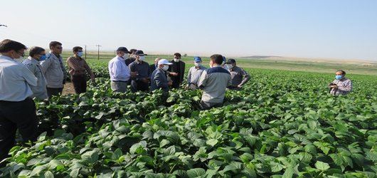 بازدید قائم مقام محترم  وزیر جهاد کشاورزی به همراه دکتر دهقانی وجناب آقای دکتر شریفی به نمایندگی از موسسه تحقیقات فنی مهندسی از   پروژه های بخش کشاورزی اجرا شده در استان اردبیل