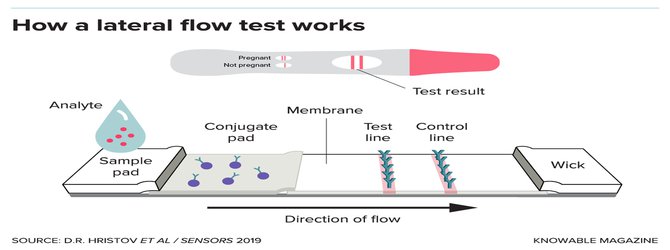 Scientists Are Racing to Develop Paper-Based Tests for Covid-19