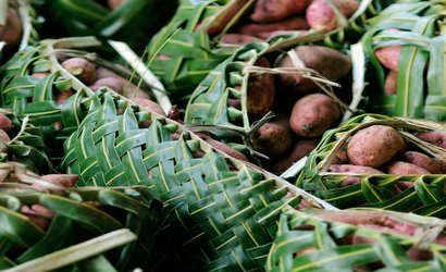 Sweet potato migrated to Polynesia thousands of years before people did