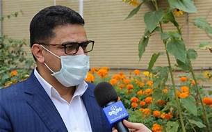 دبیر ستاد مبارزه با کرونا در استان بوشهر: ۲۸۱ بیمار در بخش‌های کرونایی استان بوشهر بستری هستند
