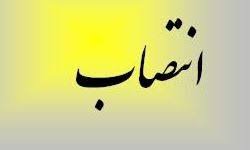 انتصاب دکتر شیرانی بعنوان دبیر شورای کلان منطقه هفت کشور