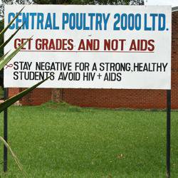 Antiretroviral therapy fails to treat one-third of HIV patients in Malawi hospital