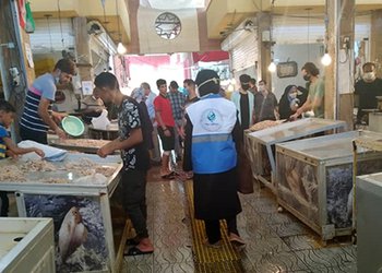رئیس مرکز بهداشت شهرستان بوشهر:
وضعیت بهداشتی مراکز عرضه‌کننده ماهی و میگو بوشهر نظارت می‌شود
