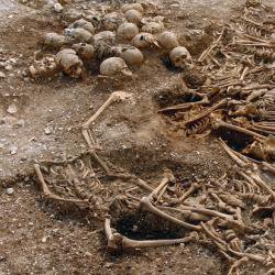 World’s largest ever DNA sequencing of Viking skeletons reveals they weren’t all Scandinavian