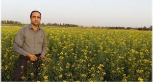 دریافت امتیاز و تقدیر دکتر ابوالفضل فرجی پژوهشگر بخش تحقیقات زراعی و باغی مرکز تحقیقات و آموزش گلستان از سوی رئیس موسسه تحقیقات اصلاح بذر کشور