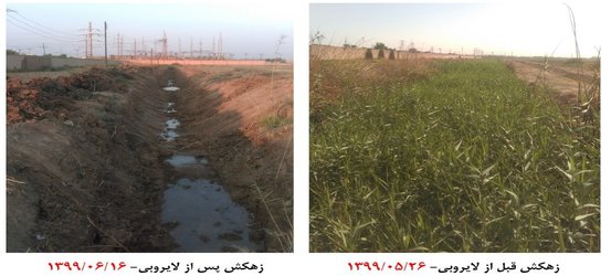 با همکاری متخصصین بخش تحقیقات فنی و مهندسی، ۱۵ هکتار از اراضی ایستگاه گلستان مرکز تحقیقات کشاورزی و منابع طبیعی خوزستان از حالت لم ‌یزرع خارج شد.