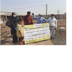 مشارکت محققان بخش تحقیقات فنی و مهندسی کشاورزی خوزستان و بازدید از دامداری‌های دام سنگین سنتی در قالب طرح یاوران تولید