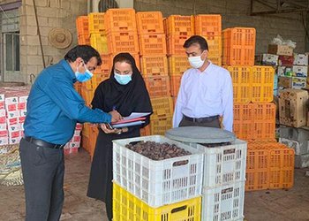 رییس شبکه بهداشت و درمان شهرستان دشتستان:
نخل داران دشتستان با استفاده از قرص برنج، شیرینی برداشت خرما را برای خود تلخ نکنند
