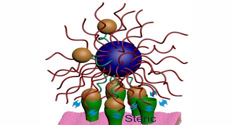 Mysterious molecular phenomenon could boost precision of targeted drug delivery