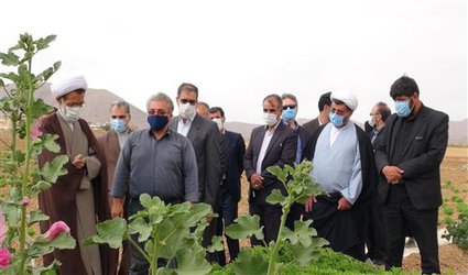 ارتباط طب سنتی و مدرن در مزرعه آموزشی دانشگاه آزاد اسلامی شهرکرد