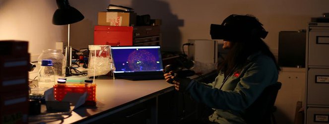 New virtual reality software allows scientists to ‘walk’ inside cells