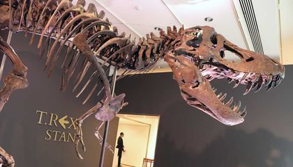 A T. Rex Sold for $31.8 Million and Paleontologists Are Worried