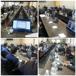 زنجیره ارزش سیب و زنجیره ارزش ماهی قزل آلا در استان فارس تشکیل خواهد شد