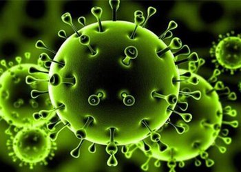 دبیر ستاد مبارزه با کرونا در استان بوشهر:
۳۱۶  بیمار در بخش‌های کرونایی استان بوشهر بستری هستند