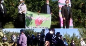 برگزاری کارگاه آموزشی مدیریت آفات و بیماری‌های انار در چارچوب طرح یاوران تولید به همت محققان مرکز تحقیقات و آموزش گلستان