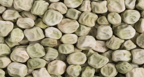 Wrinkled ‘super pea’ could be added to foods to reduce diabetes risk
