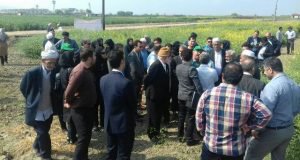 برگزاری رویداد روز مزرعه کلزا در ایستگاه تحقیقات کشاورزی عراقی محله گرگان
