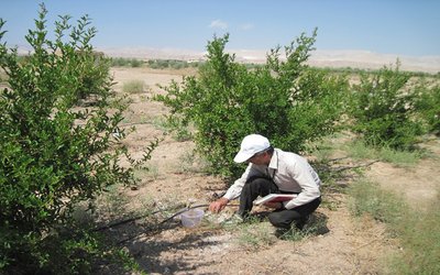 پروژه تحقیقاتی " ارزیابی مدیریت بهره برداری سامانه های آبیاری تحت فشار در باغات استان سمنان" اجرا شد