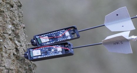 Drones that patrol forests could monitor environmental and ecological changes