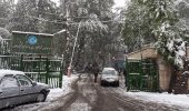برف بهاری پردیس کشاورزی و منابع طبیعی دانشگاه تهران را سفیدپوش کرد