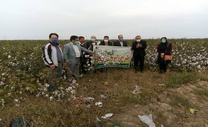 با حضور عضو هیات علمی بخش تحقیقات فنی مهندسی کشاورزی در خصوص چالش‌های برداشت پنبه در مزارع شهرستان پارس‌آباد بحث و تبادل نظر شد