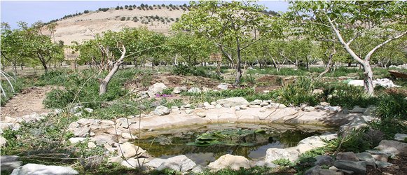 ساخت نخستین باغچه پایلوت پرماکالچر دانشگاهی کشور