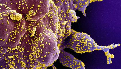 Will the Coronavirus Evolve to Be Less Deadly?