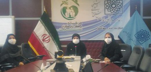 وبینار کشوری مراقبت آموزشی مادر و نوزاد برگزار شد