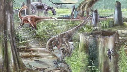 A New Study Shows How Evolution Was Driven by How Different Species Interacted