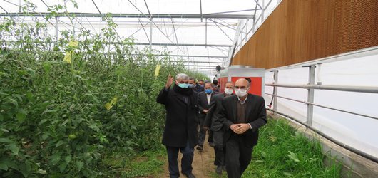 بازدید گروه یاوران تولید مرکز تحقیقات و آموزش کشاورزی و منابع طبیعی استان اردبیل از شهرک گلخانه‌ای مغان