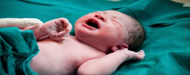 تولد نوزادان عجول تربت جامی در آمبولانس