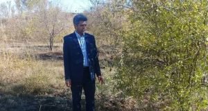 ضبط برنامه تلویزیونی با موضوع انار با حضور پژوهشگر گیاهپزشکی مرکز تحقیقات و آموزش گلستان