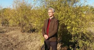 ضبط برنامه تلویزیونی با موضوع مگس مدیترانه ای با حضور پژوهشگر گیاه پزشکی مرکز تحقیقات و آموزش گلستان