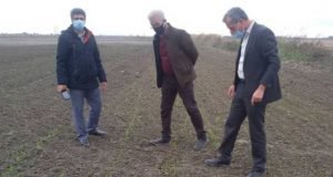 بازدید مزارع تحقیقاتی آموزشی جو و کلزا واحد کردکوی به همت پژوهشگران بخش تحقیقات گیاهپزشکی مرکز تحقیقات و آموزش گلستان