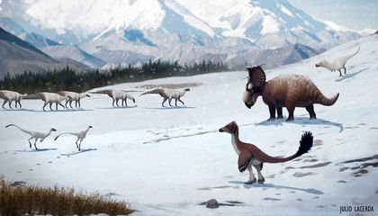 How Dinosaurs Thrived in the Snow