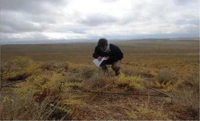 اجرای پروژه‌های پایش کیفی مراتع در چهار سایت تحقیقاتی توسط محققان مرکز تحقیقات و آموزش کشاورزی و منابع طبیعی استان اردبیل