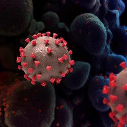Remdesivir likely to be highly effective antiviral against SARS-CoV-2 for some patients