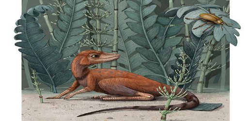 The Top Ten Dinosaur Discoveries of 2020