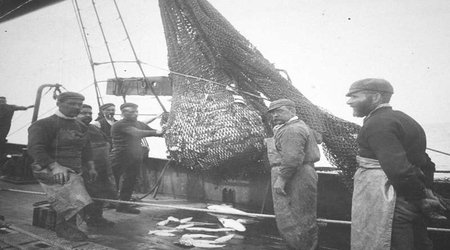 Scientists Recreate 1890s Fishing Surveys to Show How the Sea Has Changed