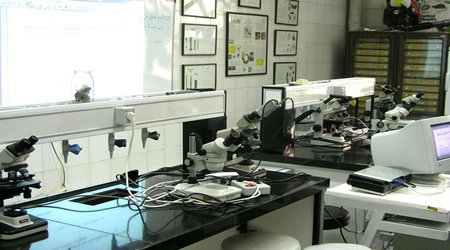 ساخت دستگاه توانبخشی کودکان مبتلا به اوتیسم در کشور