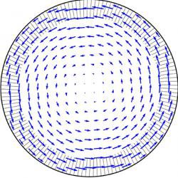 Mathematics explains how giant ‘whirlpools’ form in developing egg cells