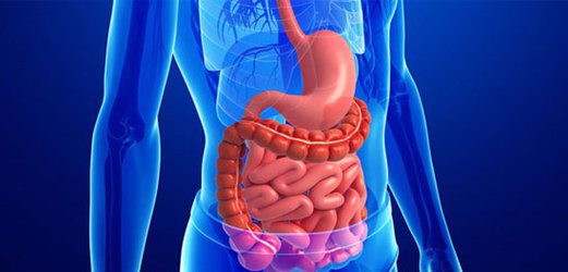 وبینار علمی خونریزی های گوارشی و نحوه مدیریت و درمان آن برگزار می شود