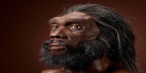 An Evolutionary Timeline of Homo Sapiens