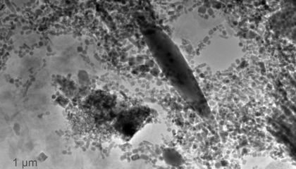 New Way to Study Magnetic Fossils Could Help Unearth Their Origins