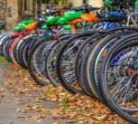 Environmental report highlights Cambridge’s progress towards sustainability goals