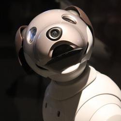 Robotic dogs and laughter therapy: 10 ways to combat loneliness and isolation while social distancing