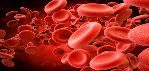 وبینار آموزشی هموویژیلانس برای مراکز درمانی دارای بانک خون برگزار می شود