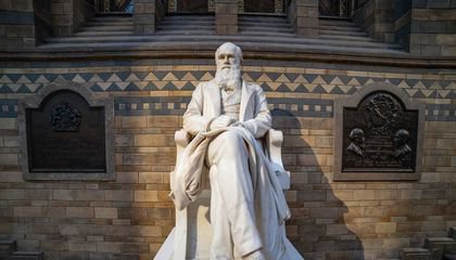 How Darwin’s 'Descent of Man' Holds Up 150 Years After Publication