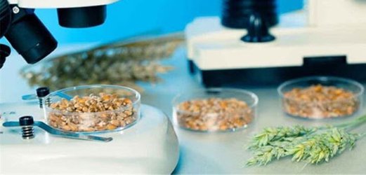 اولین جلسه کمیته دیده بانی نظام سلامت استان تهران به میزبانی دانشگاه برگزار شد