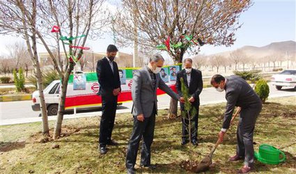 کاشت ۱۲ نهال به یاد  شهدای دانشجوی دانشگاه آزاد اسلامی واحد شهرکرد و شهدای گمنام مدفون در این واحد دانشگاهی